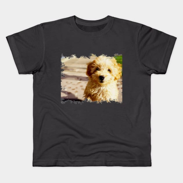 Toy Poodle Pup Kids T-Shirt by Nicole Gath Photography